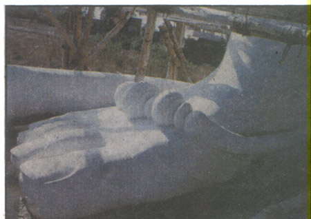 hanumanleg.jpg 